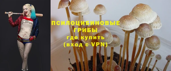 хмурый Магадан