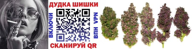 Купить где  Сосенский  Марихуана гибрид 
